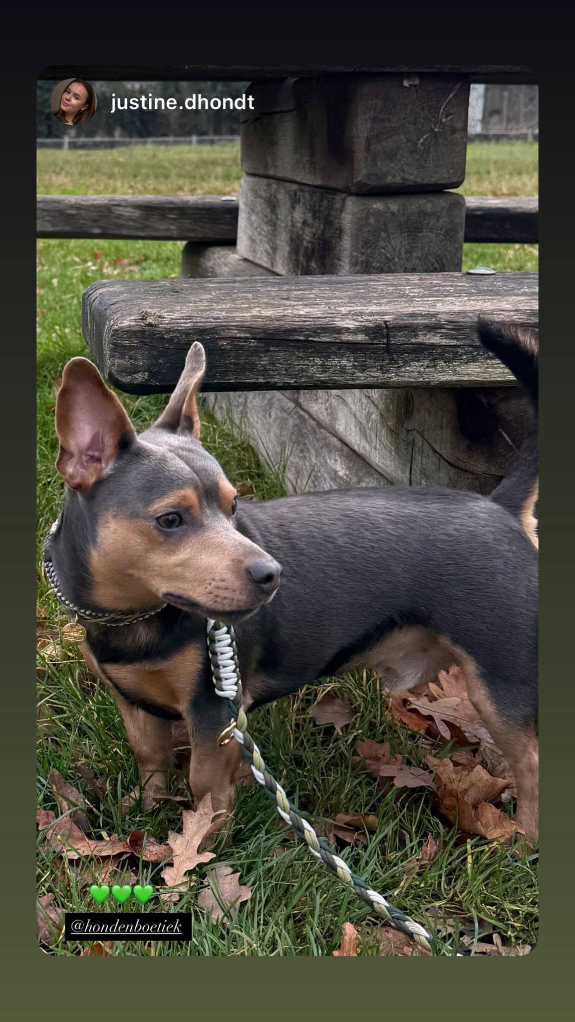 Eco Hond Onne - Hondenspeelgoed - Fleece - 100% Gerecycled Eco Hond Onne - Hondenspeelgoed - Fleece - 100% Gerecycled