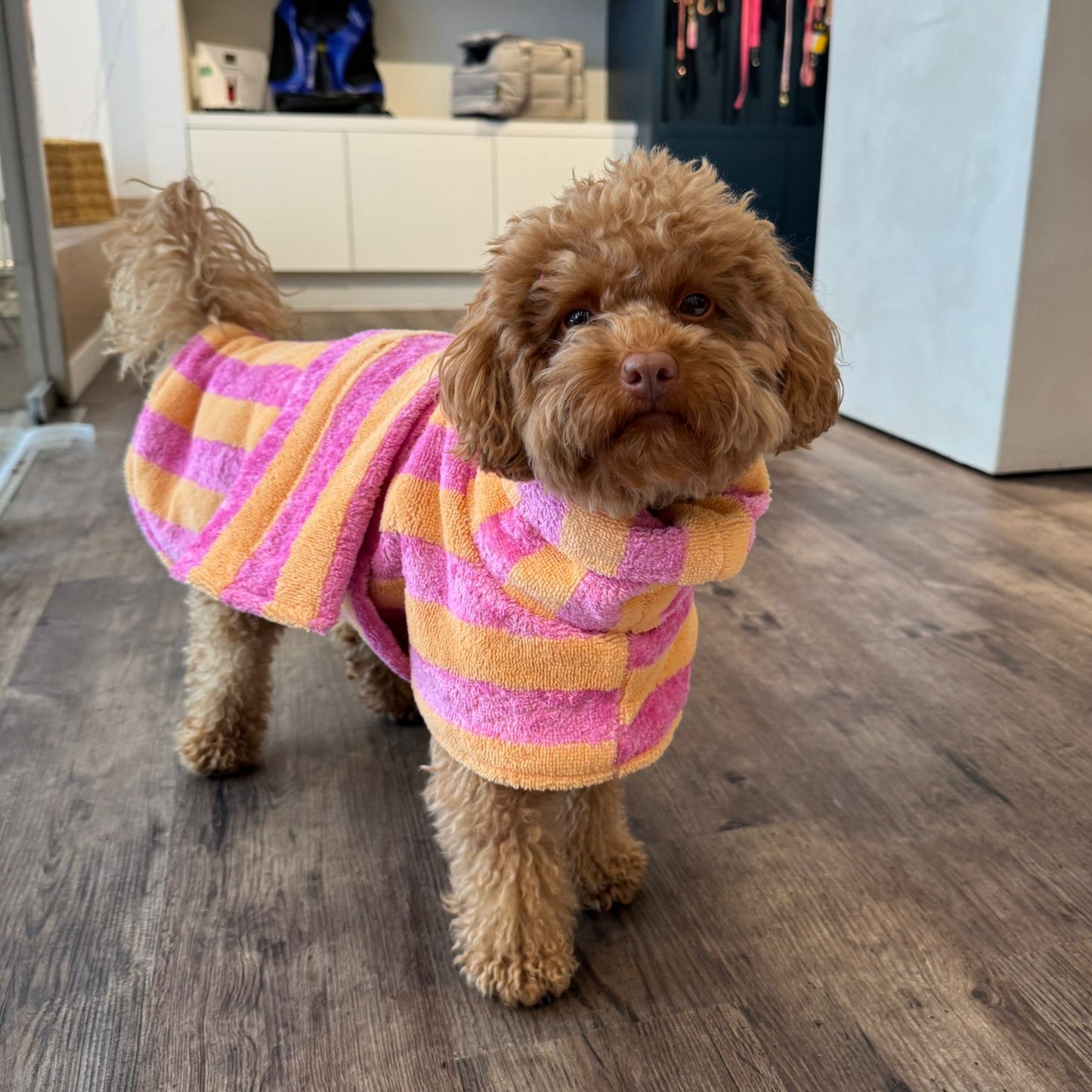 Cozy Stripe Hondenbadjas – Kleding van Stella's Pupcakes | Hondenboetiek (afbeelding 12)