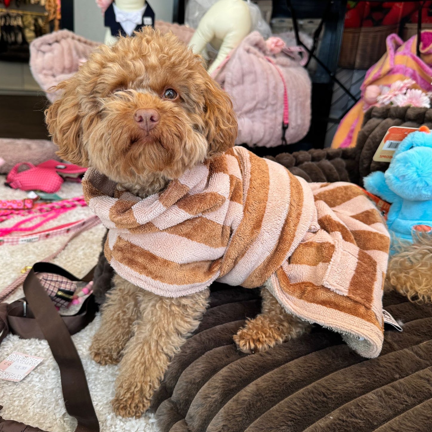 Cozy Stripe Hondenbadjas – Kleding van Stella's Pupcakes | Hondenboetiek (afbeelding 9)