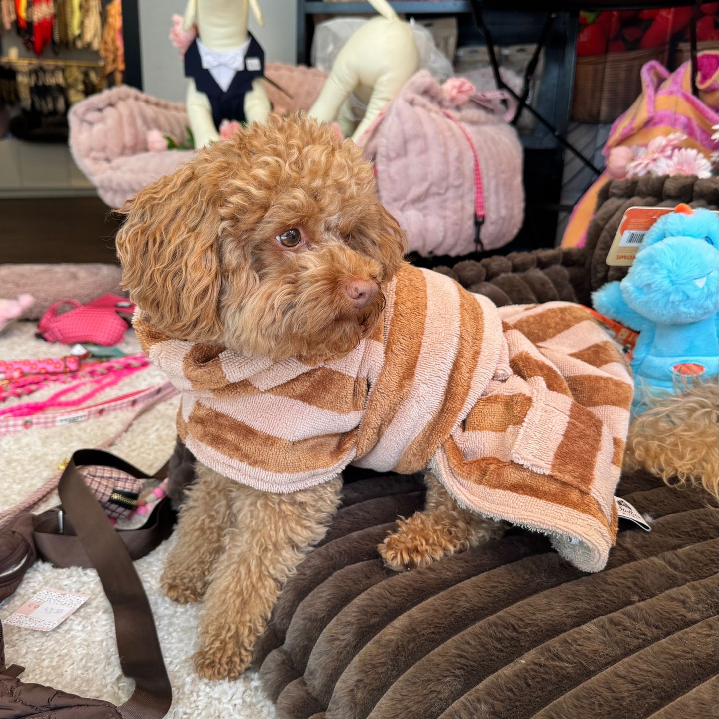 Cozy Stripe Hondenbadjas – Kleding van Stella's Pupcakes | Hondenboetiek (afbeelding 10)