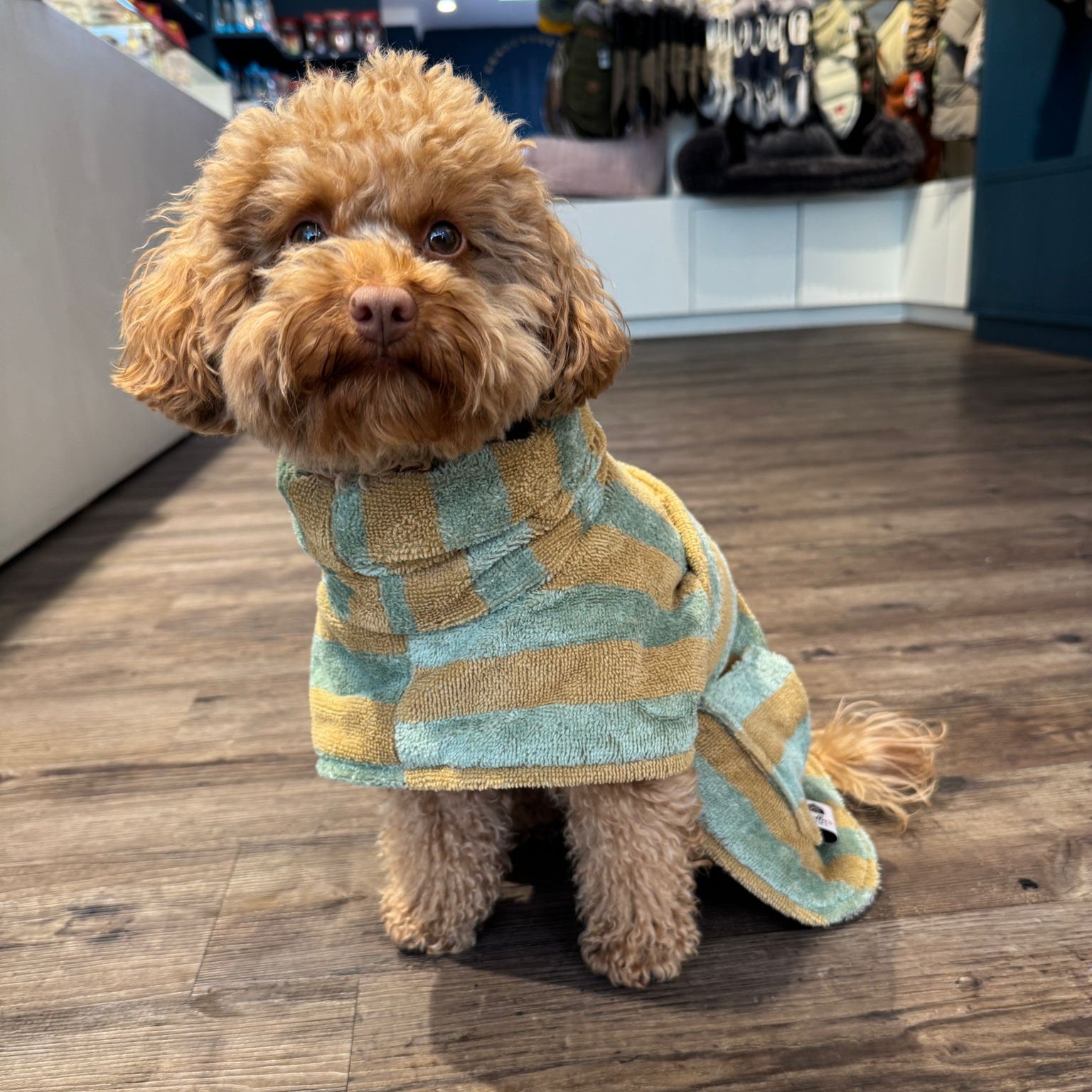 Cozy Stripe Hondenbadjas – Kleding van Stella's Pupcakes | Hondenboetiek (afbeelding 11)