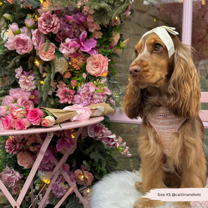 Tweed Roze Harnas - Cocopup London
