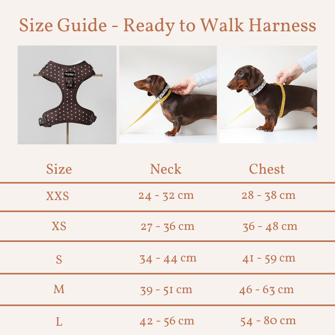 Harnas Choco Loco Love