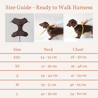 Harnas Choco Loco Love