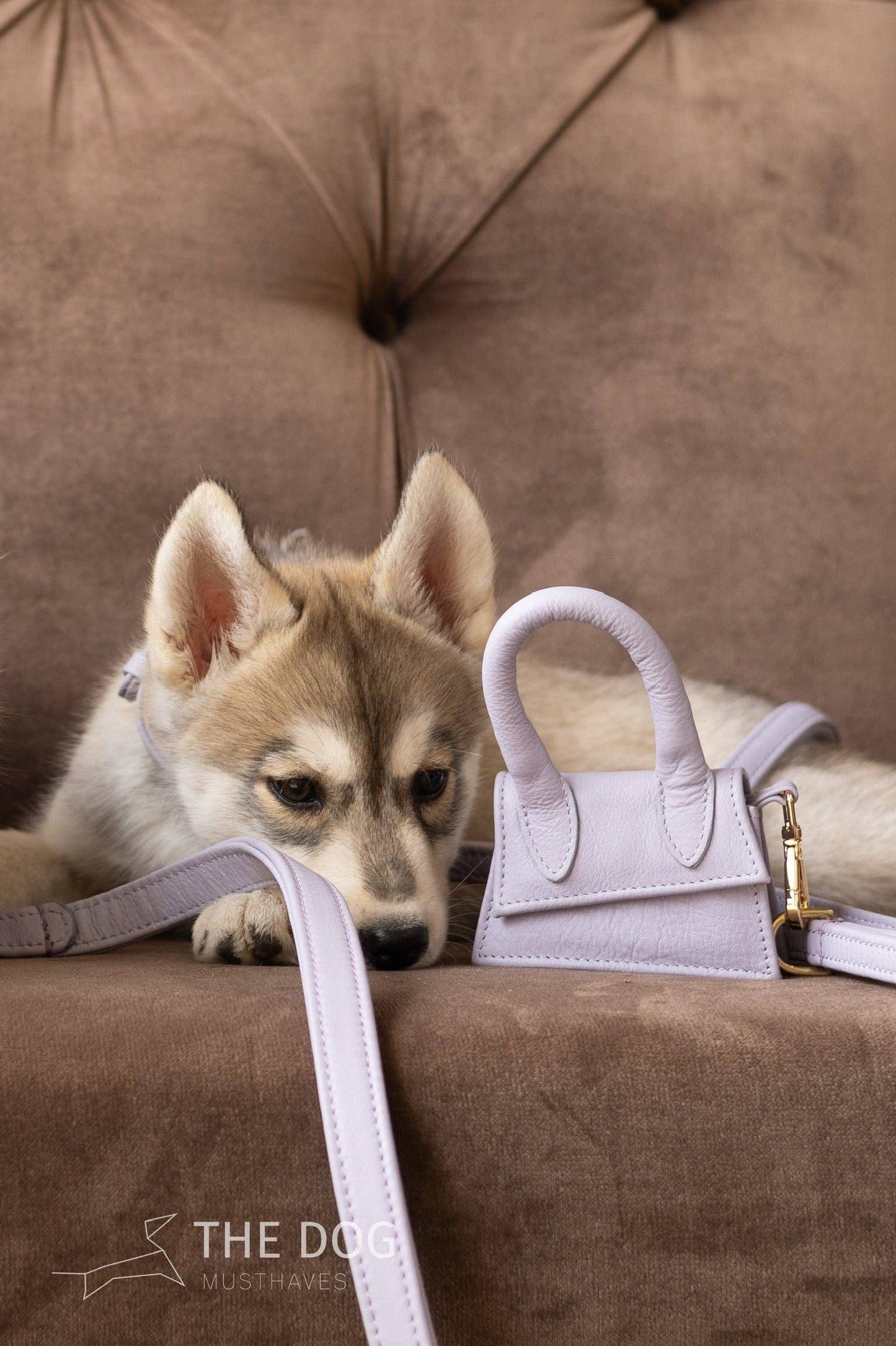 The Dog Musthaves - The Dog Musthaves designer beloningstasje voor hondenkoekjes en poepzakdispenser - lila paars