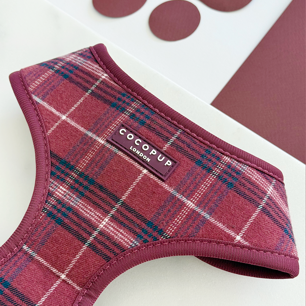 Mulberry Ruit Harnas - Cocopup London