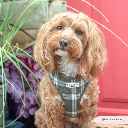 Olijfgroene Plaid Harnas - Cocopup London