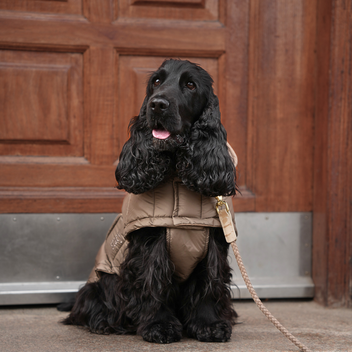 Staey - Dog Coat Nora in taupe