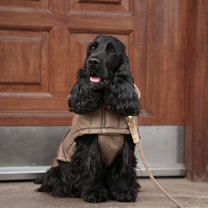 Staey - Dog Coat Nora in taupe