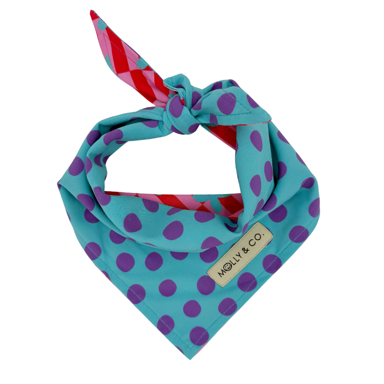 Supernova Bandana (Omkeerbaar) - Molly & Co.