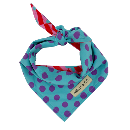 Supernova Bandana (Omkeerbaar) - Molly & Co.