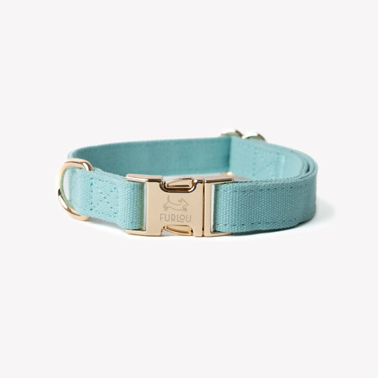 Canvas Hondenhalsband — Blauw