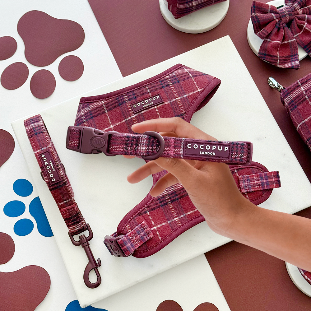 Mulberry Geruite Halsband - Cocopup London
