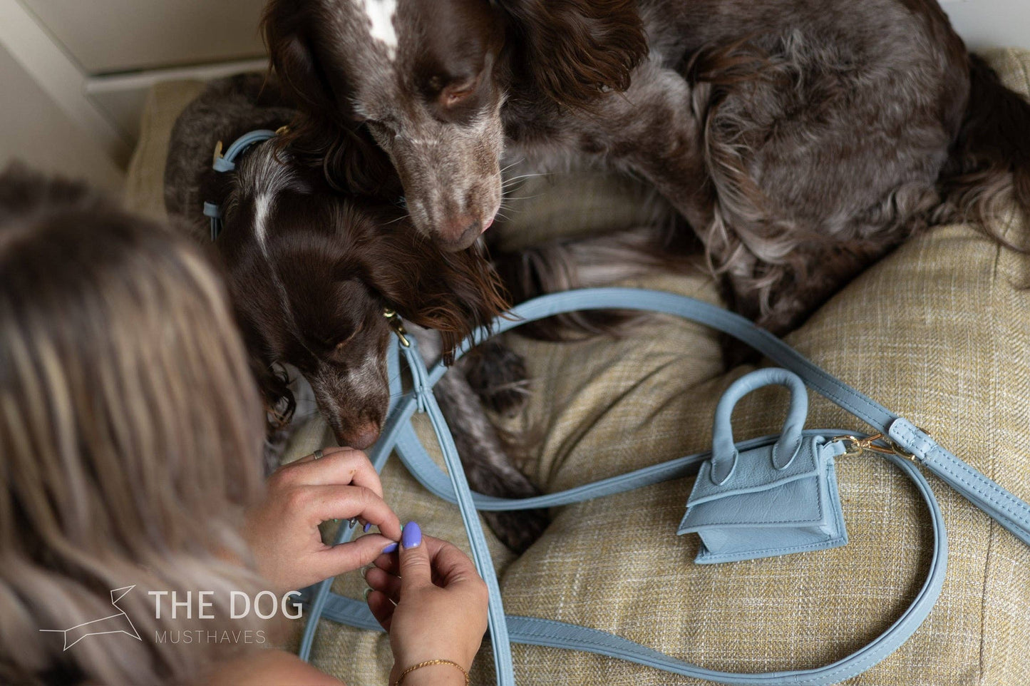 The Dog Musthaves - The Dog Musthaves designer beloningstasje voor hondenkoekjes en poepzakdispenser - lichtblauw