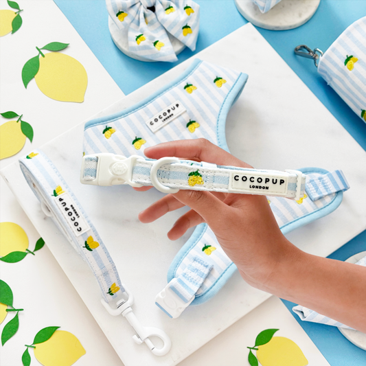 Leven La Vida Lemon Halsband - Cocopup London