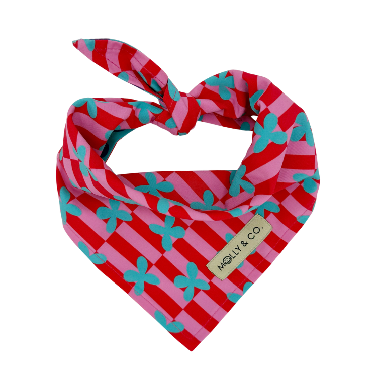 Supernova Bandana (Omkeerbaar) - Molly & Co.
