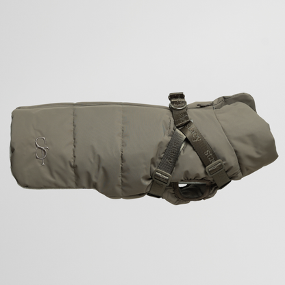 Vera Hondenjas met Harnas Salie