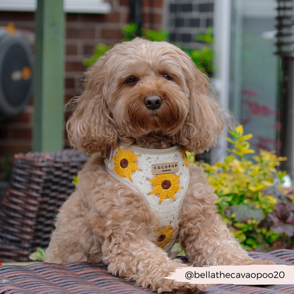 Sunflower Patch Harnas - Cocopup London