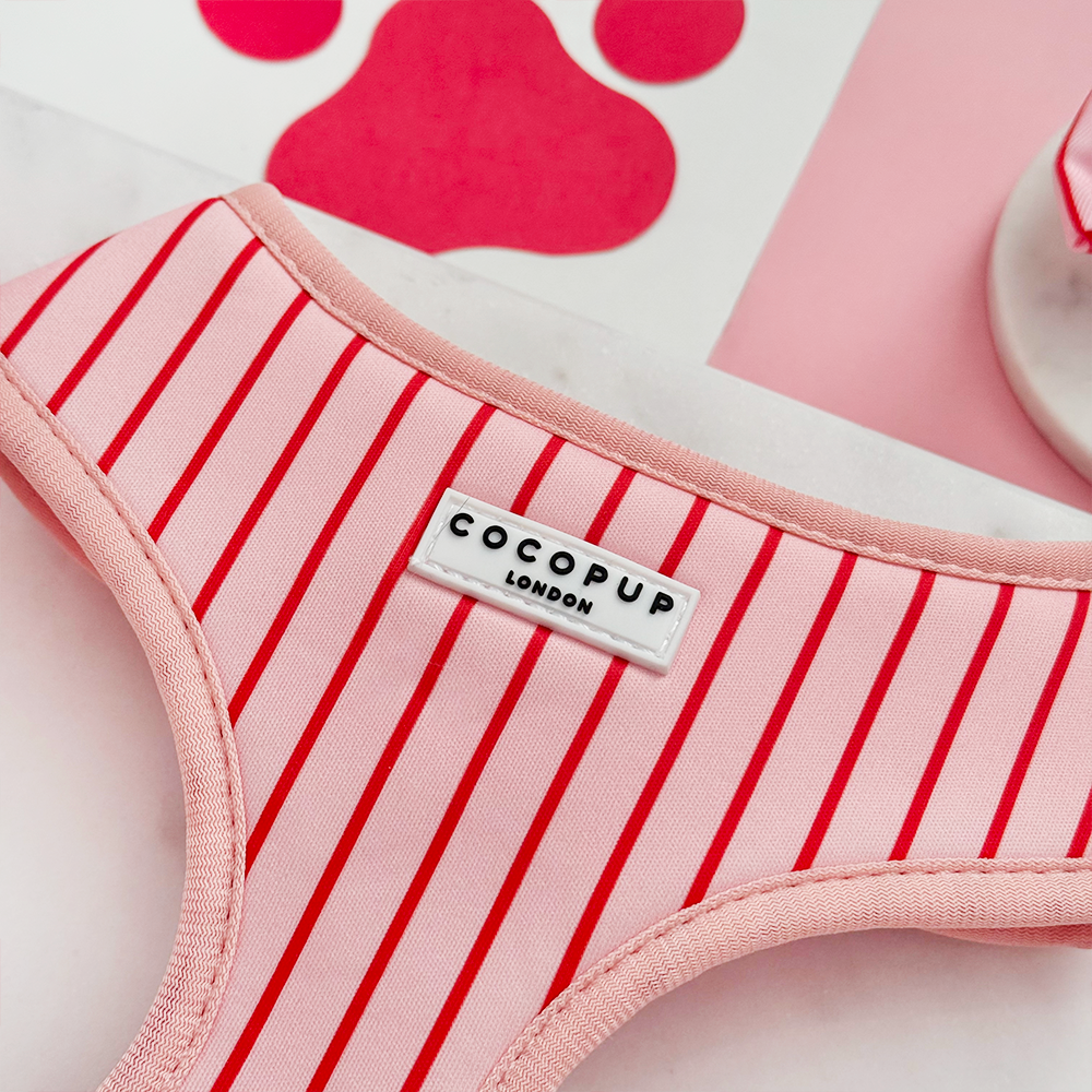 Candy Stripe Harnas – Harnas van Cocopup London | Hondenboetiek (afbeelding 2)