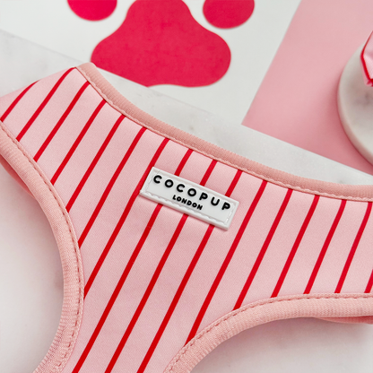 Candy Stripe Harnas – Harnas van Cocopup London | Hondenboetiek (afbeelding 2)