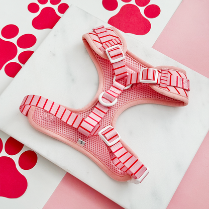 Candy Stripe Harnas – Harnas van Cocopup London | Hondenboetiek (afbeelding 3)