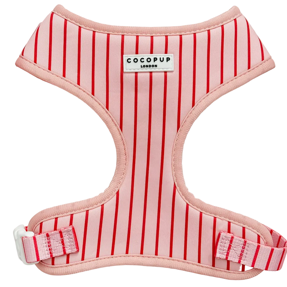 Candy Stripe Harnas – Harnas van Cocopup London | Hondenboetiek