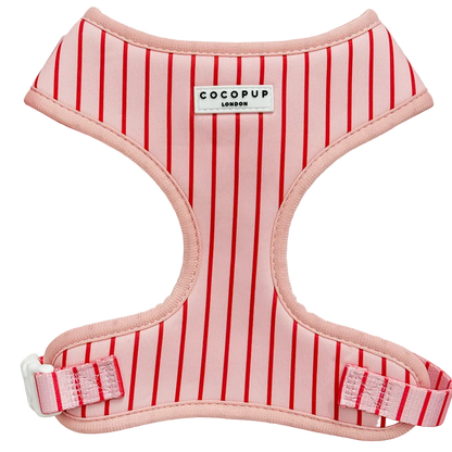 Candy Stripe Harnas – Harnas van Cocopup London | Hondenboetiek