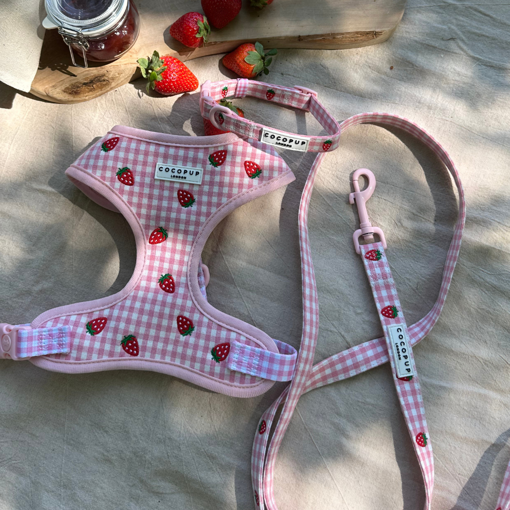 Aardbei Picknick Leiband - Cocopup London – Leiband van Cocopup London | Hondenboetiek (afbeelding 3)