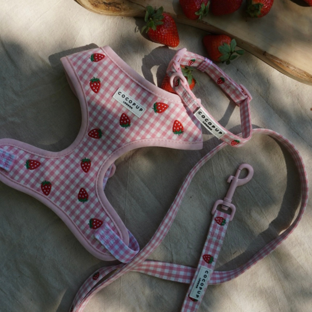 Aardbei Picknick Leiband - Cocopup London – Leiband van Cocopup London | Hondenboetiek (afbeelding 4)