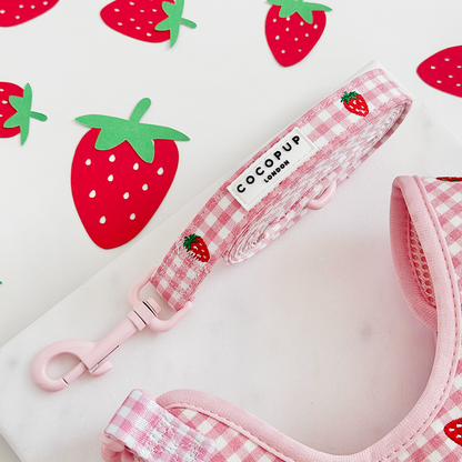 Aardbei Picknick Leiband - Cocopup London – Leiband van Cocopup London | Hondenboetiek