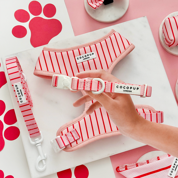Candy Stripe Halsband