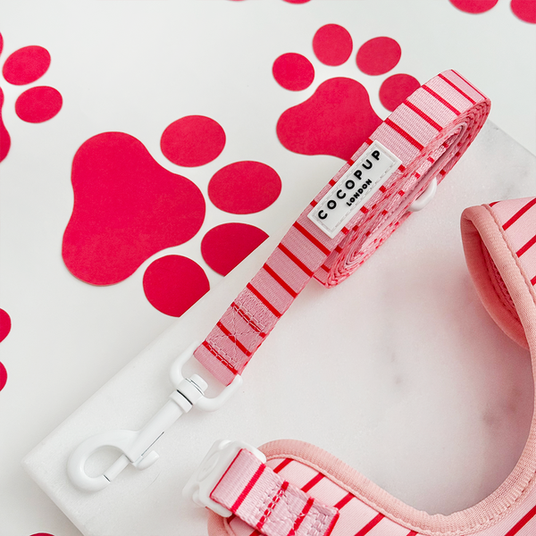 Candy Stripe Leiband