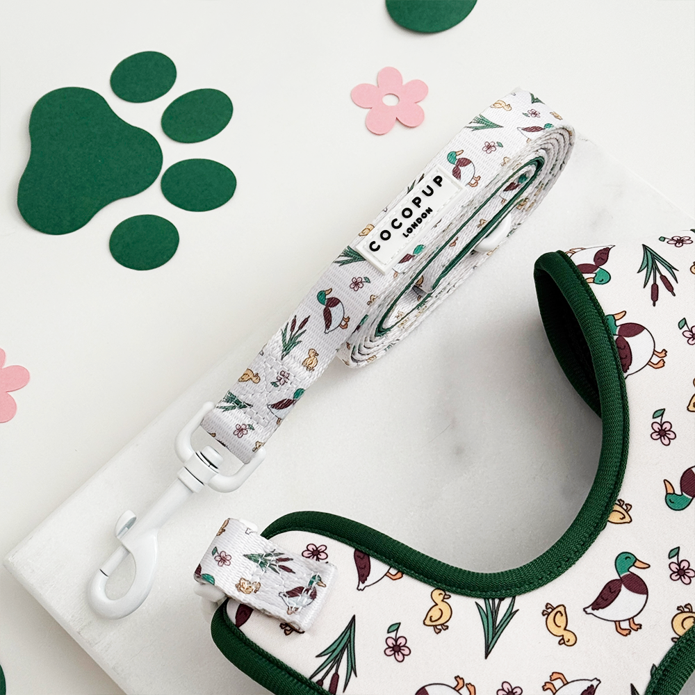 Leiband Eend - Cocopup London – Leiband van Cocopup London | Hondenboetiek