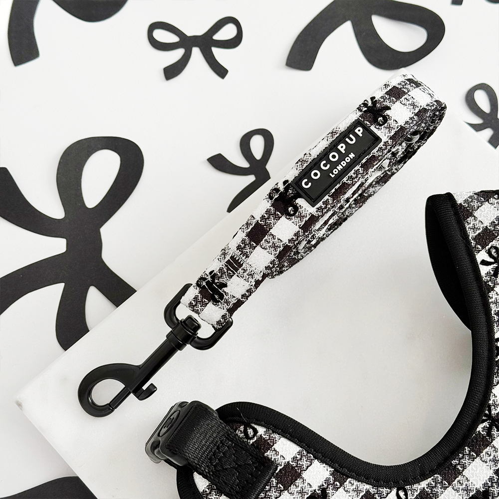 Leiband Paris - Cocopup London – Leiband van Cocopup London | Hondenboetiek