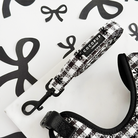 Leiband Paris - Cocopup London – Leiband van Cocopup London | Hondenboetiek