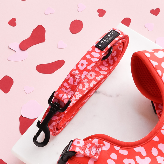 Luipaard Leiband - Cocopup London – Leiband van Cocopup London | Hondenboetiek