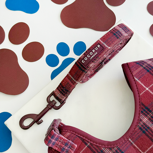Mulberry geruite leiband - Cocopup London – Leiband van Cocopup London | Hondenboetiek