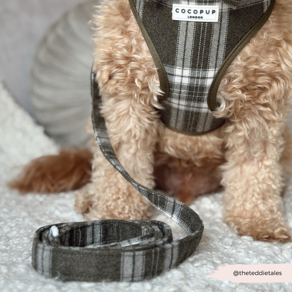 Olijfkleurige Check Lead – Leiband van Cocopup London | Hondenboetiek (afbeelding 4)