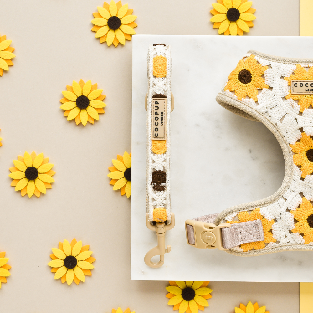 Sunflower Patch Leiband - Cocopup London – Leiband van Cocopup London | Hondenboetiek (afbeelding 2)