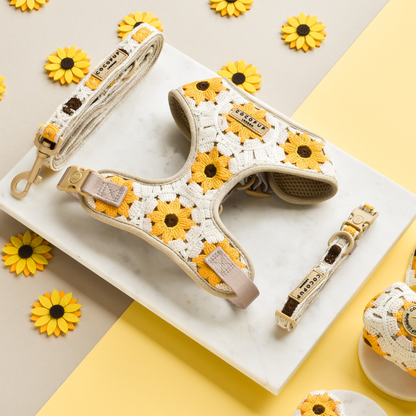 Sunflower Patch Leiband - Cocopup London – Leiband van Cocopup London | Hondenboetiek (afbeelding 3)