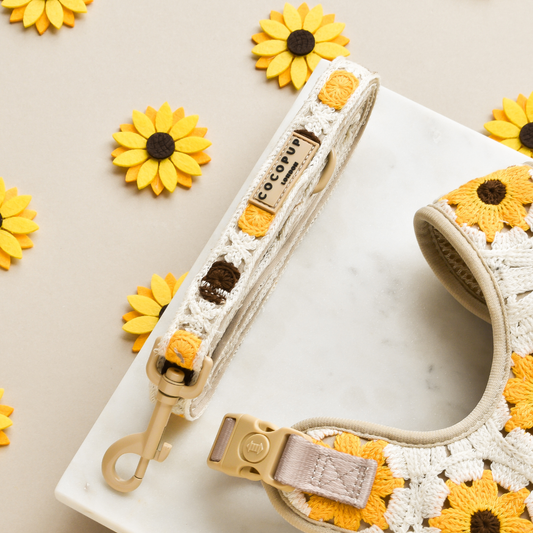 Sunflower Patch Leiband - Cocopup London – Leiband van Cocopup London | Hondenboetiek