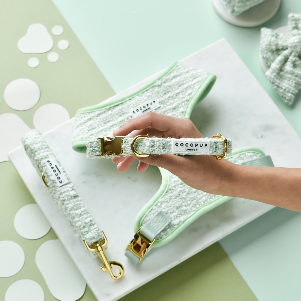 Tweed Halsband Matcha - Cocopup London – Halsband van Cocopup London | Hondenboetiek
