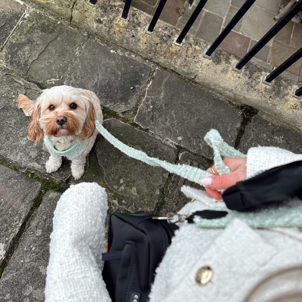 Tweed leiband Matcha - Cocopup London – Leiband van Cocopup London | Hondenboetiek (afbeelding 4)