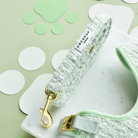 Tweed leiband Matcha - Cocopup London – Leiband van Cocopup London | Hondenboetiek