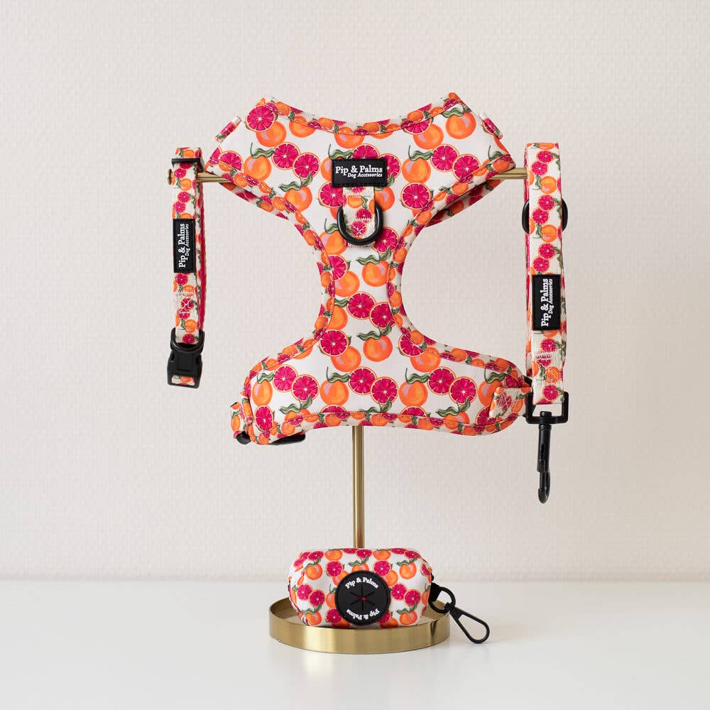 Harnas Tutti Frutti