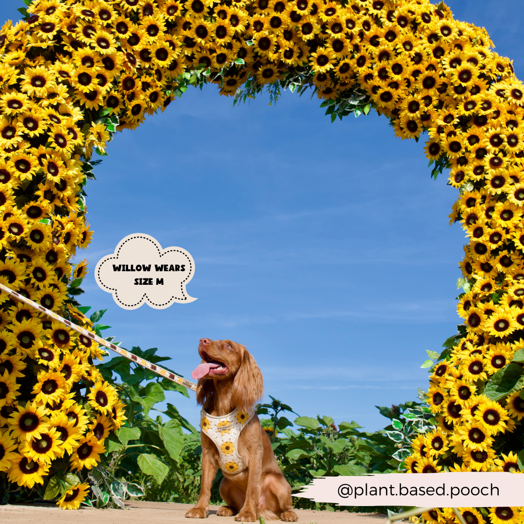 Sunflower Patch Harnas - Cocopup London
