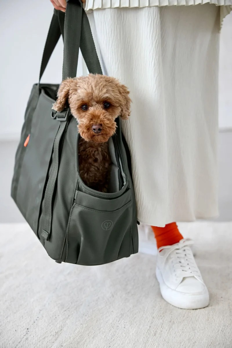 Reistas Weda - Donkergroen