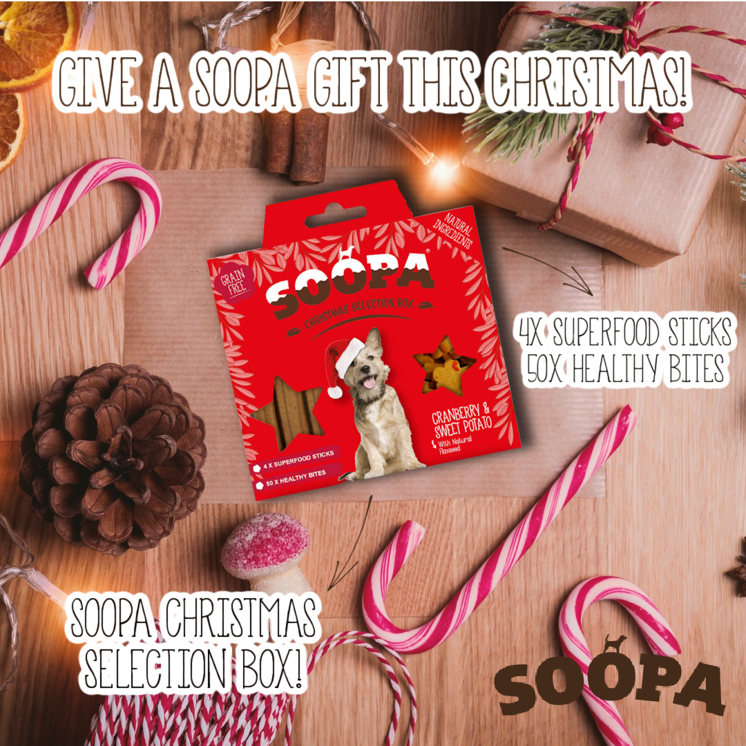 Honden Treat Christmas Selection Box