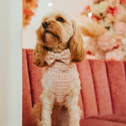 Tweed Roze Harnas - Cocopup London