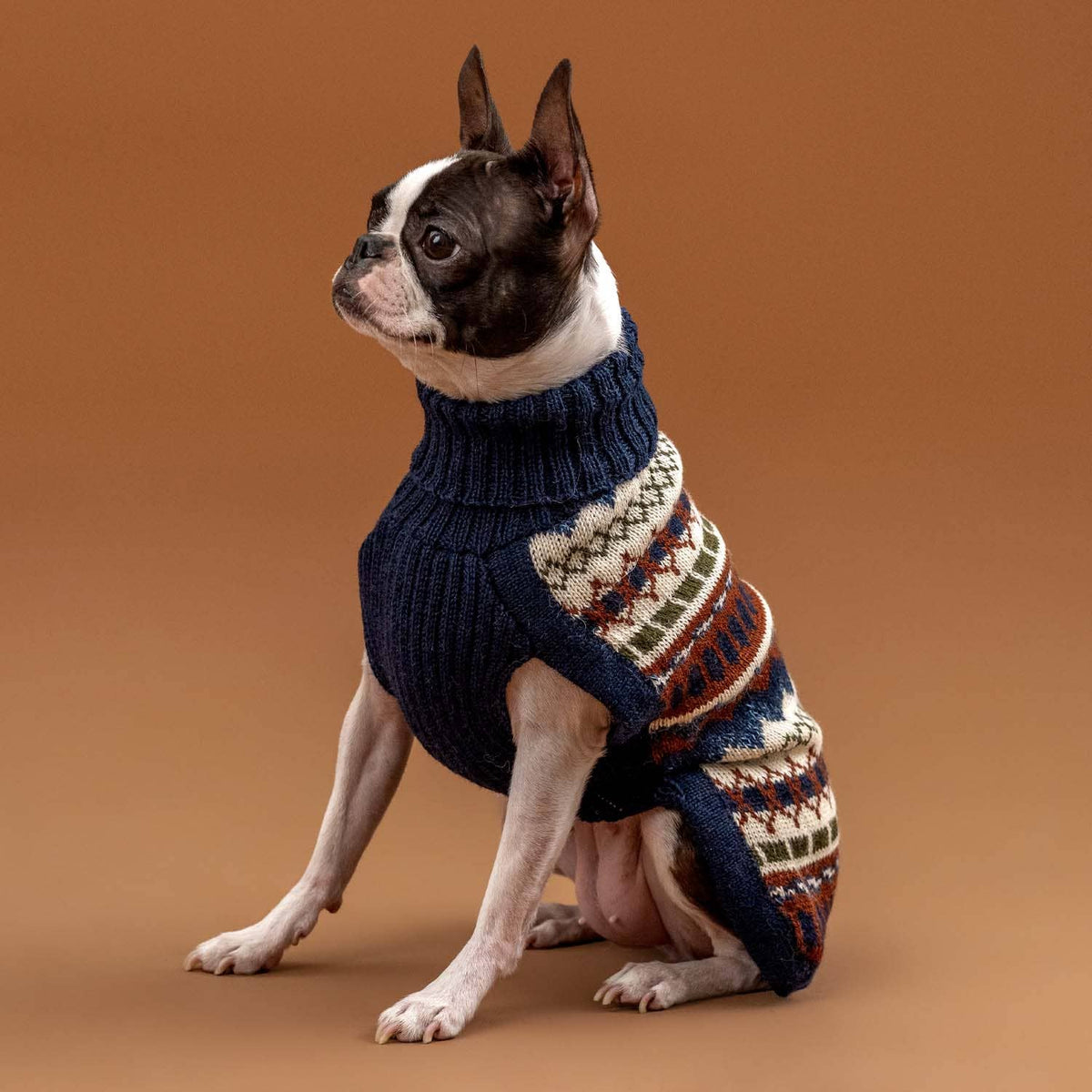 Alpaca trui IJsberg – Kleding van Alqo Wasi | Hondenboetiek (afbeelding 5)